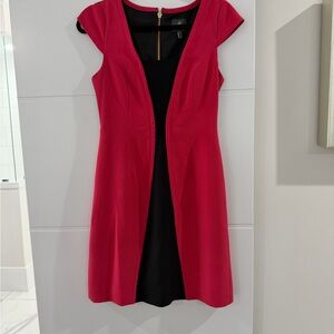 Adrianna Papell Fuchsia and Black Dress